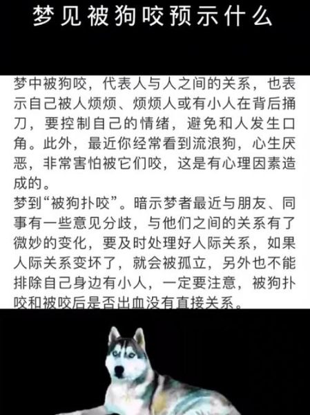 梦到狗扑过来吓醒_梦见狗扑向自己什么预兆