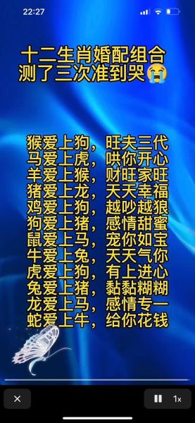 猪和马属相合不合_猪马婚配优缺点