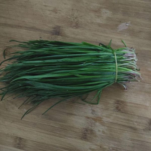 梦到菲菜是什么意思_梦见菲菜预示什么
