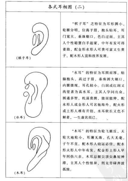 耳朵看财运_耳朵形状与财富关系