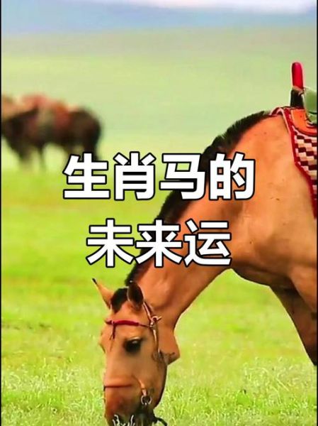 78年属马一生运势_晚年财运如何