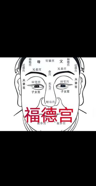 福德宫财运怎么看_如何提升福德宫财运