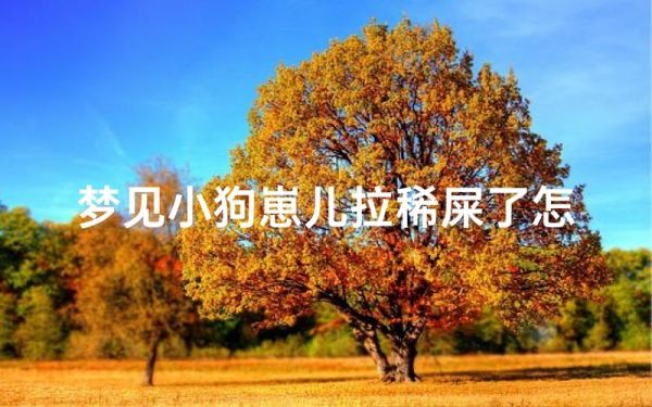梦见自己拉稀是什么意思_拉稀梦境解析