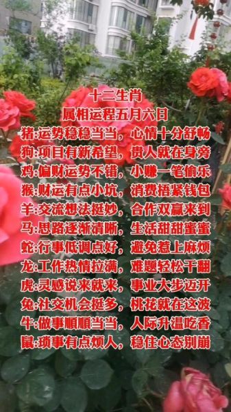 2019年属什么生肖_猪年运势详解