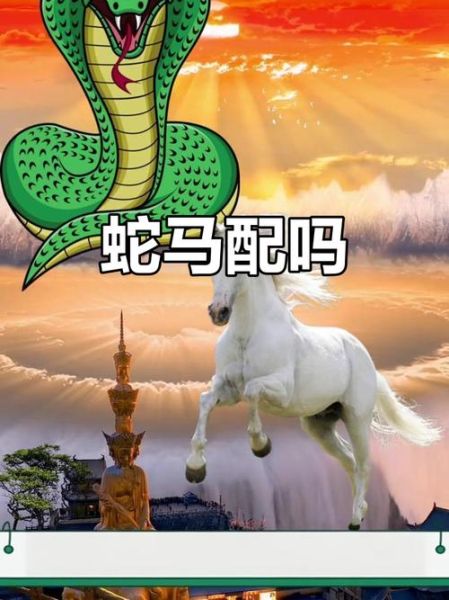 马和蛇属相相冲吗_属马属蛇相冲怎么办