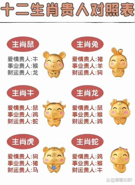 郑恺属相是什么_郑恺生肖运势如何