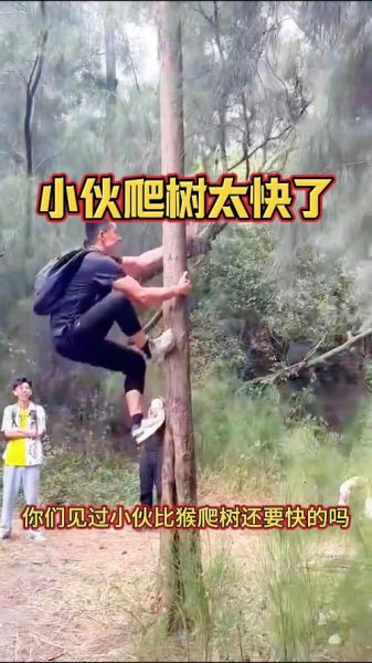梦到爬大树是什么意思_梦见自己爬树很吃力