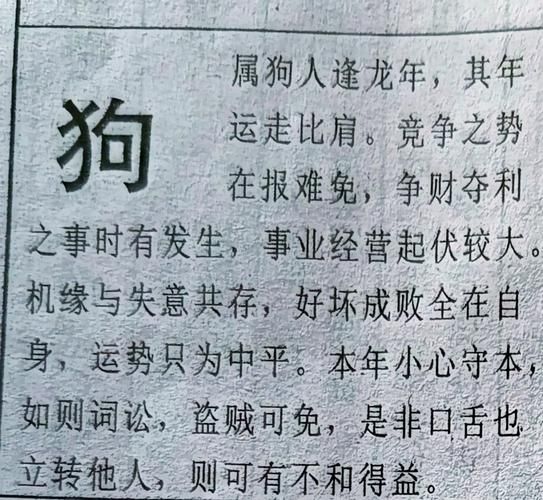 属狗的人2024年运势如何_属狗今年财运旺不旺