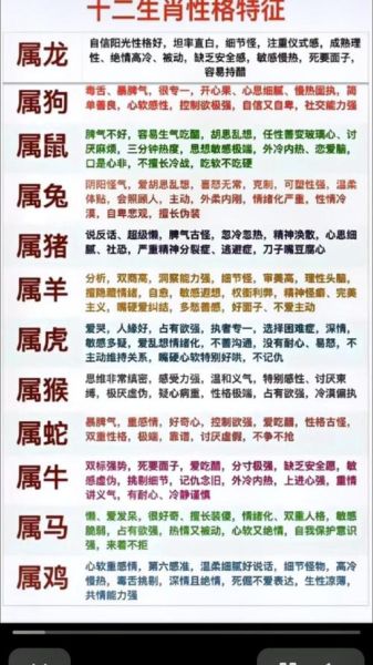 属龙孩子性格特点_如何培养领导力