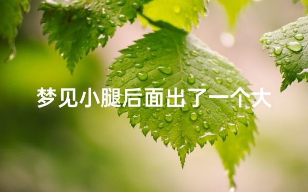梦到长水泡_梦见长水泡是什么意思