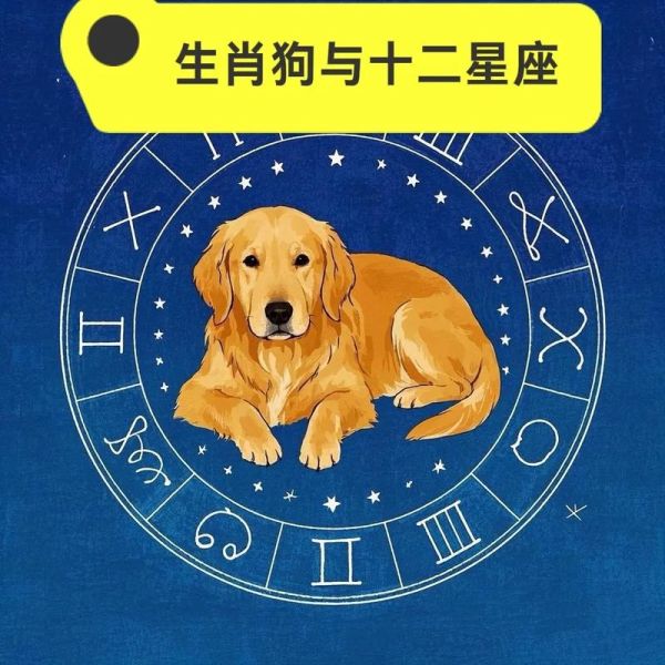属相狗前面是啥属相_十二生肖排序
