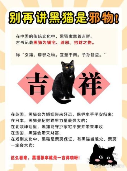 梦到变成猫_意味着什么