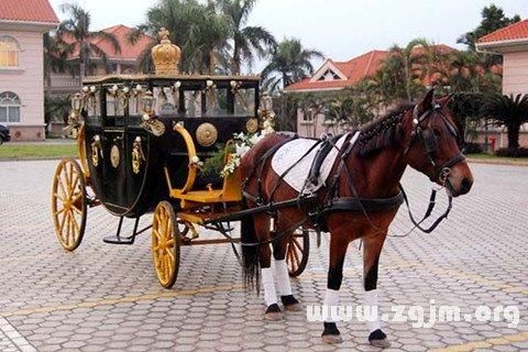 梦到马车什么意思_梦见马车预示什么