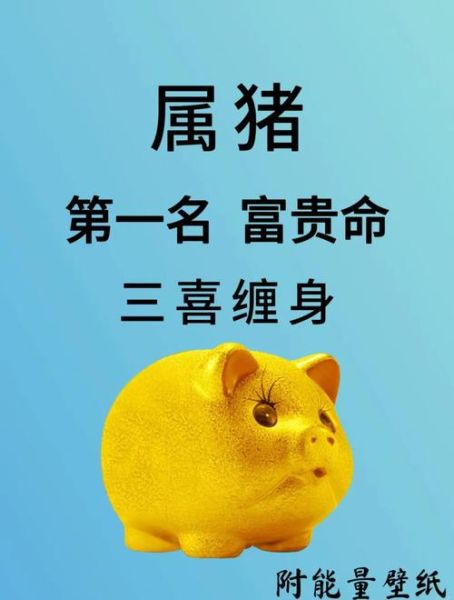 肖猪的人何年财运好_属猪哪年能发财
