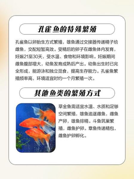 孕妇梦到做鱼是什么意思_孕妇梦见做鱼生男生女
