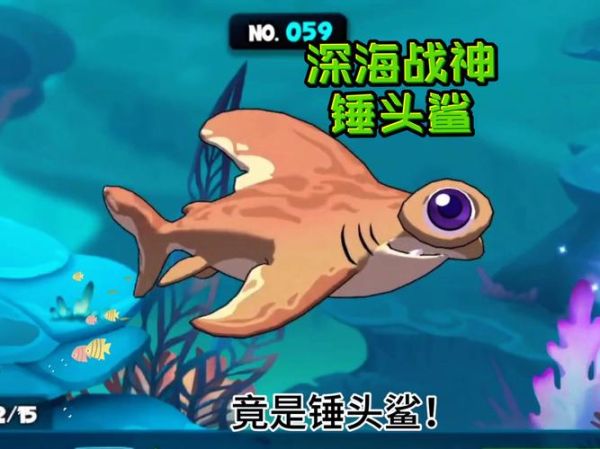 梦到鲨鱼吃人是什么意思_鲨鱼吃人梦境解析