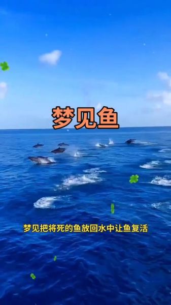 梦到小鱼儿是什么意思_梦到小鱼儿预示什么