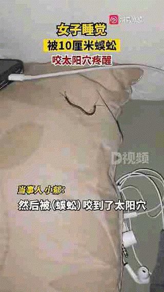 梦到被大蜈蚣咬_意味着什么