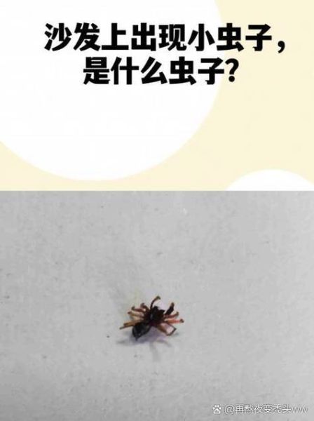 梦到吐出虫子是什么意思_梦见吐虫子预示什么