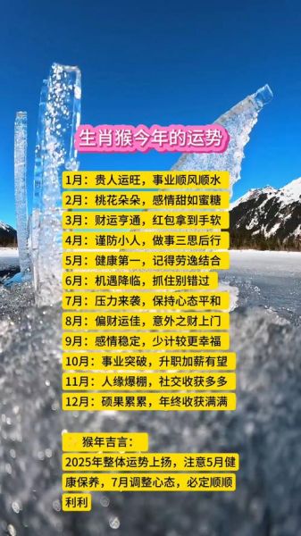 2020年属猴运势如何_属猴人全年运程详解
