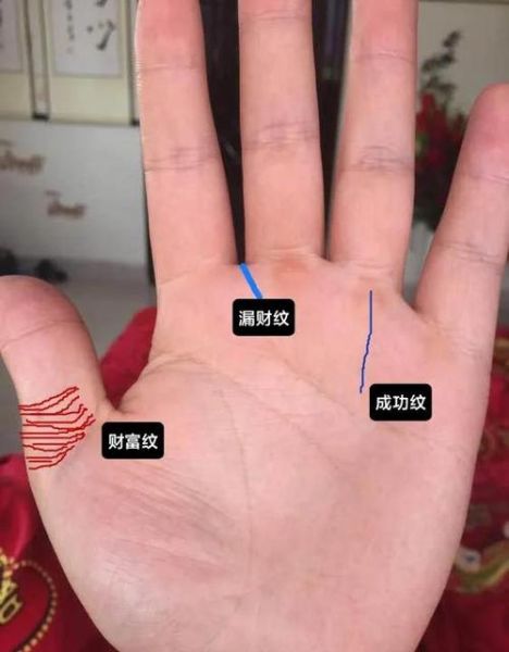 财运看哪里_财运看哪里最准