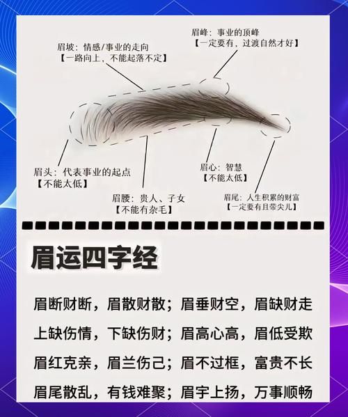 眉毫运势怎么看_眉毫运势准吗