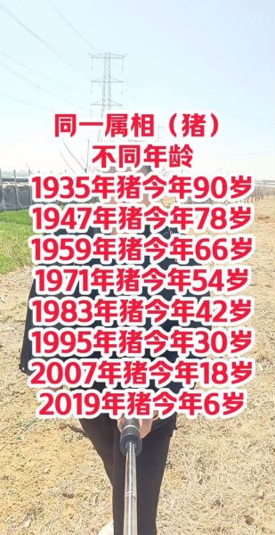 2007年属什么生肖_2007年属猪是什么命