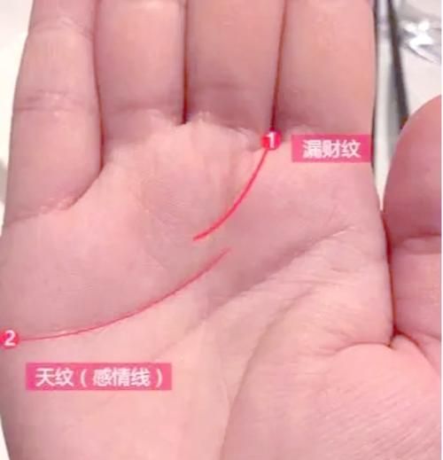 财运线怎么看_爱情线断了会复合吗
