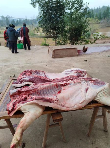 梦到杀猪没杀死是什么意思_梦到杀猪没杀死预示什么