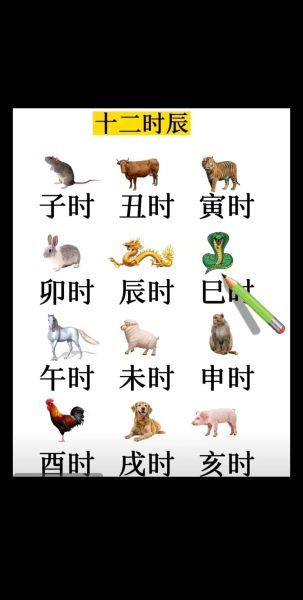 时辰属相表查询_属相与时辰对照表