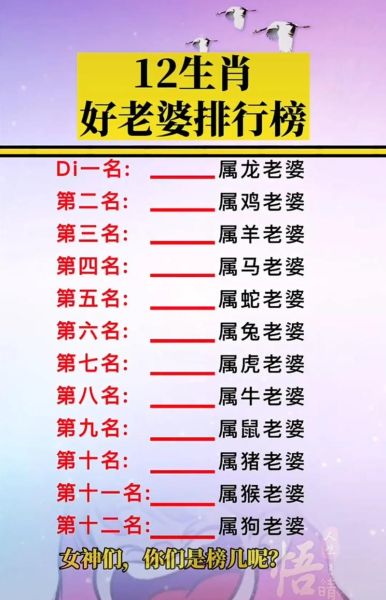 女属鼠和男属羊的婚姻配对_女鼠男羊能过一辈子吗