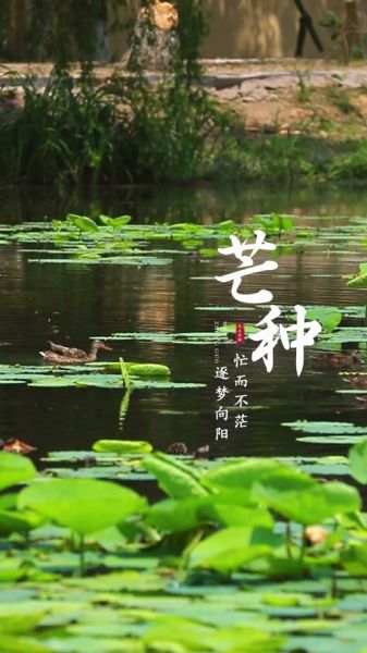 芒神属相是什么_芒神属相有什么寓意