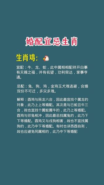 2017年属鸡婚配宜忌_属鸡和什么属相最配