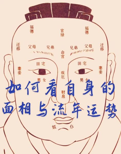 中年运势面相_如何看中年运势面相