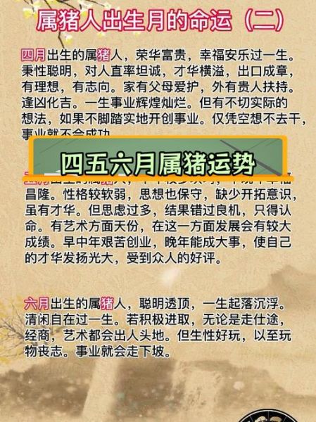 属猪几月出生最好_属猪几月出生命最好