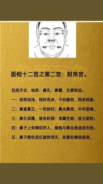 鼻子怎么看财运图解_鼻子财运图解怎么看
