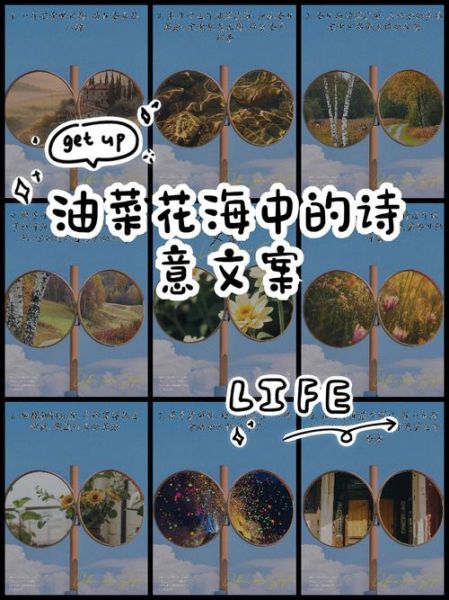 梦到海和花是什么意思_如何解读梦境中的海洋与花朵