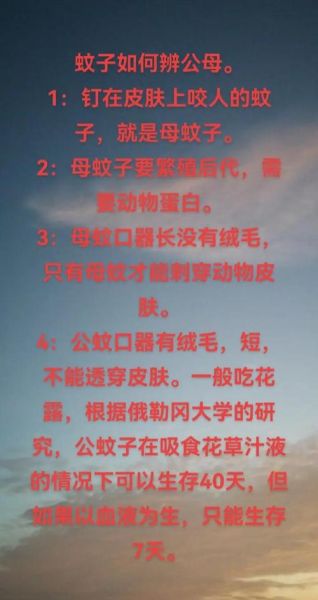 梦到蚊子代表什么_如何化解