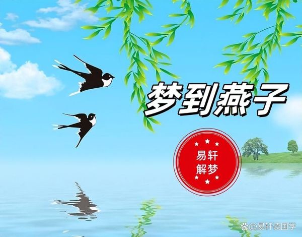 梦到燕子死了是什么意思_梦到燕子死了预示什么