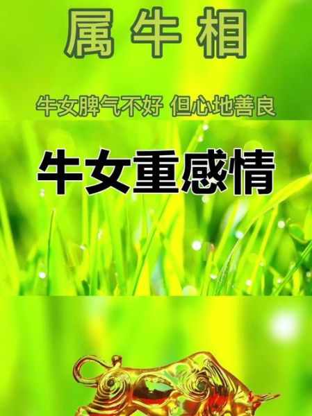 2016年属牛6月运势如何_属牛人六月财运感情运