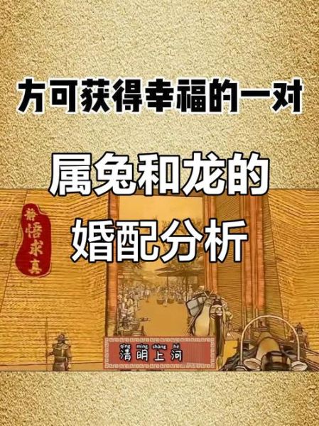 龙和兔的属相能婚配吗_龙兔婚配化解方法