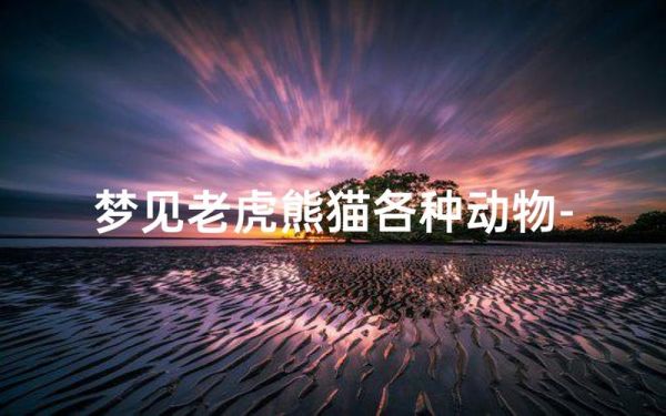 梦到养熊猫_意味着什么
