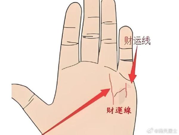 财运线分叉很多_财运线分叉代表什么