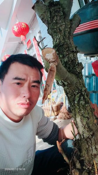 梦到捡柴是什么意思_梦见捡柴好不好