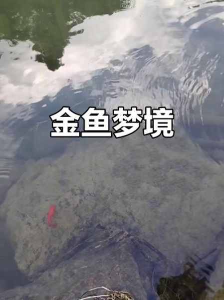 梦到河水很大很浑浊_周公解梦