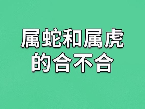 虎和蛇属相合不合_婚姻财运事业解析