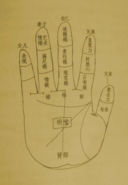 看手相怎么看财运_面相看财运准吗