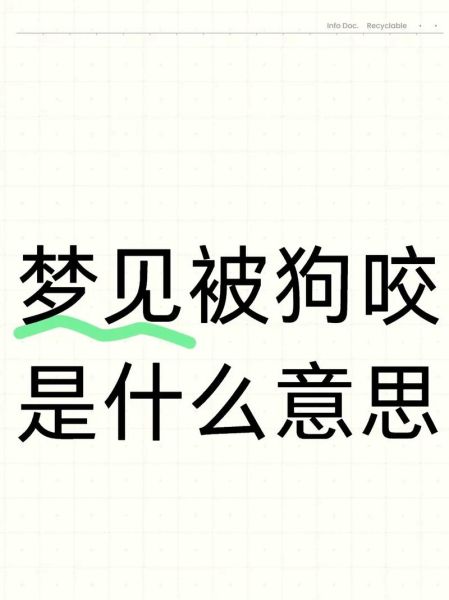 梦到黑狗咬我_黑狗咬人梦境解析