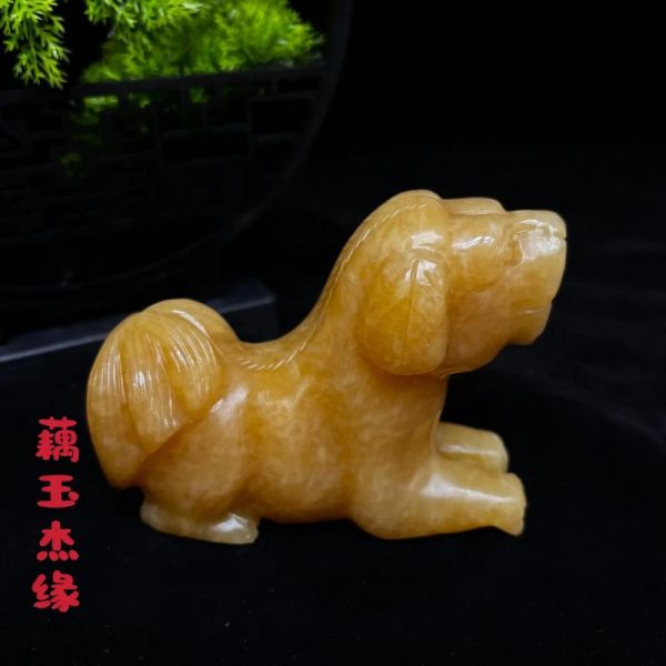 属狗属猪财运色_如何挑选招财颜色