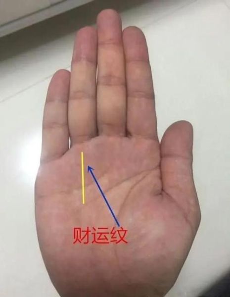 财运线多大年龄出现_财运线几岁最旺